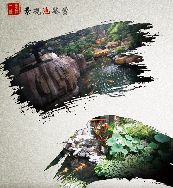 园林锦鲤