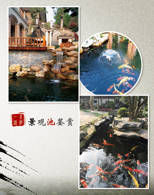 景观池